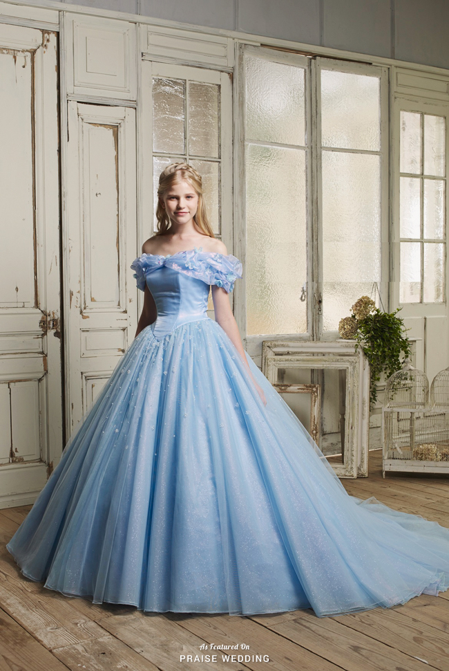 Cinderella Inspired Dress Online Shop ...