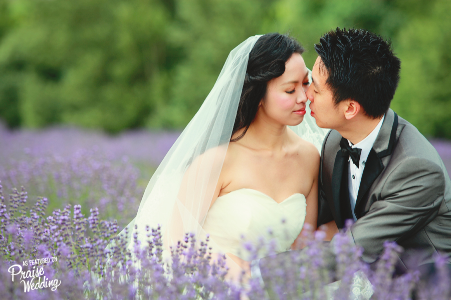 Japanese Lavender Field Pre-wedding Session