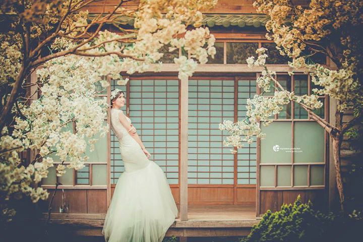 Romantic Japanese cherry blossom bridal portrait