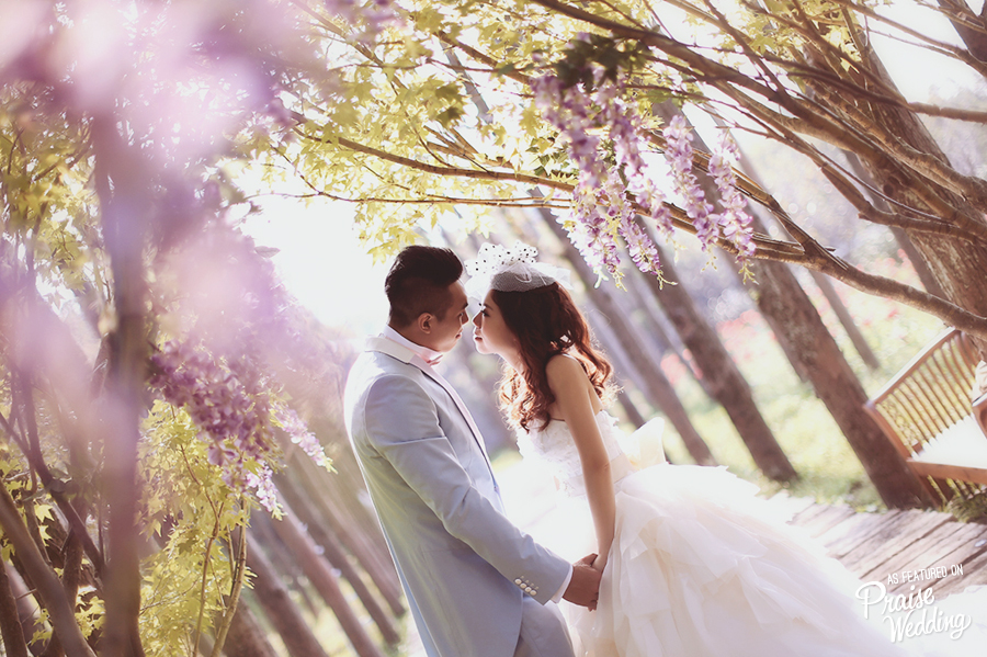 A touch of lavender, a touch of romance - beautiful and soft prewedding session