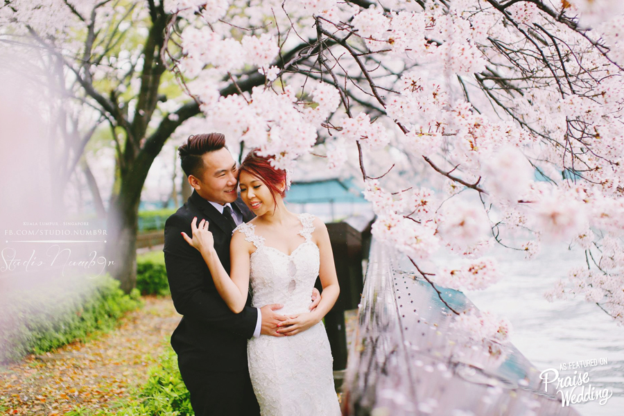 Spring romance never stops with cherry blossom photo sessions!
