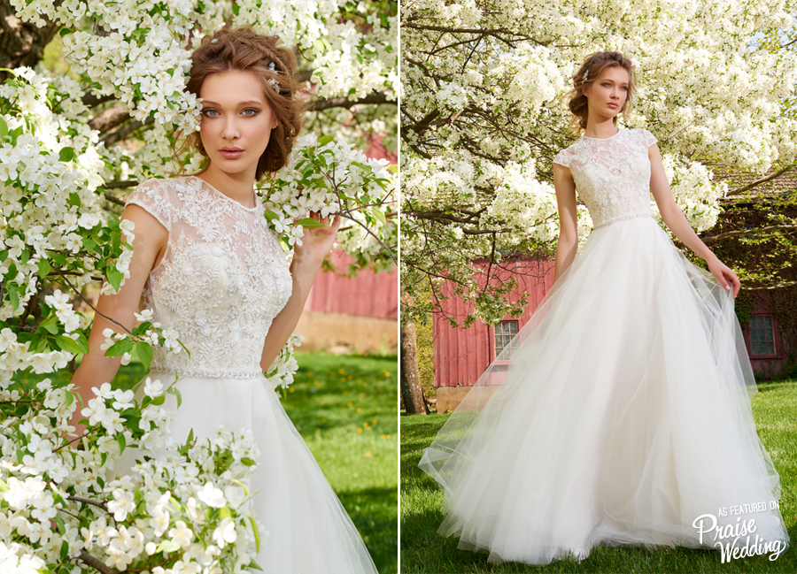 This Tara Keely tulle ball gown with capped lace bodice and encrusted belt is so pretty!