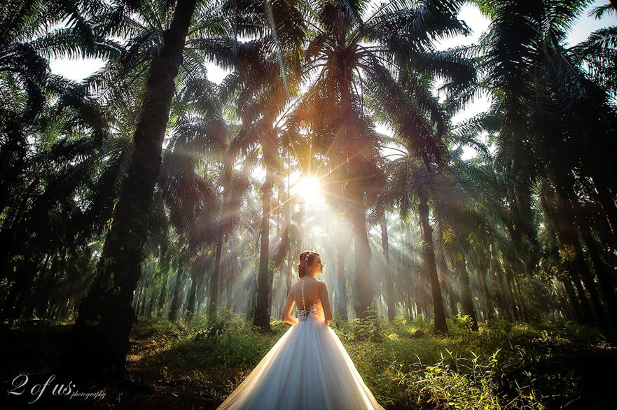 Artistically beautiful bridal session with magical light and forest setting!