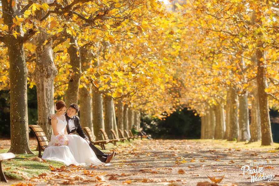 Head over heels in love with this fall pre-wedding session captured in Japan, surrounded by golden light and amber colored leaves!