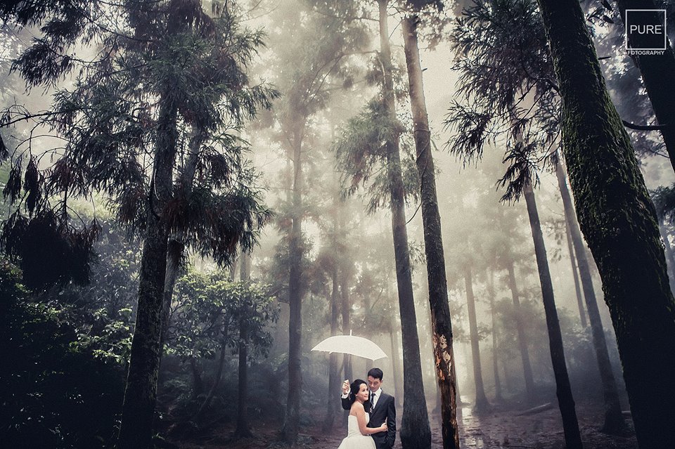 With natural beauty as the backdrop, this rain forest prewedding photo is bursting with enchantment!
