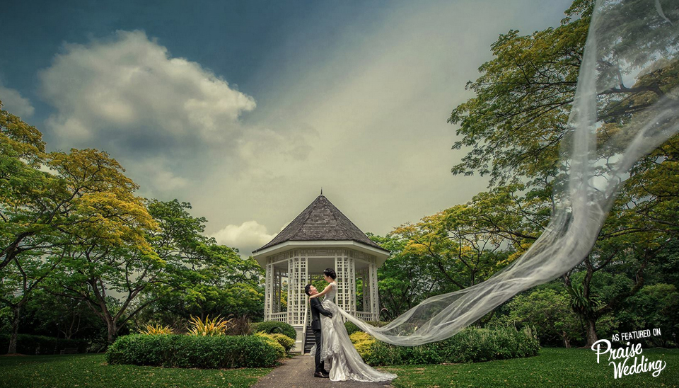 Wow! This wedding photo captured at Singapore Botanic Gardens is beautiful like a dream! 