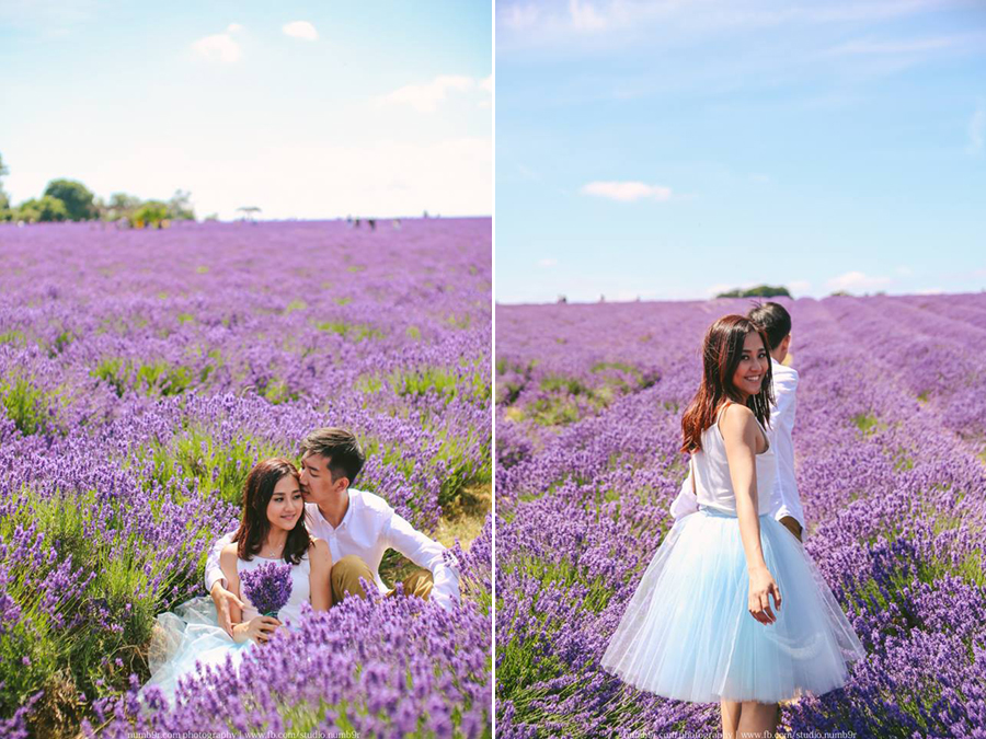 Pretty please take us away to this lavender field!!