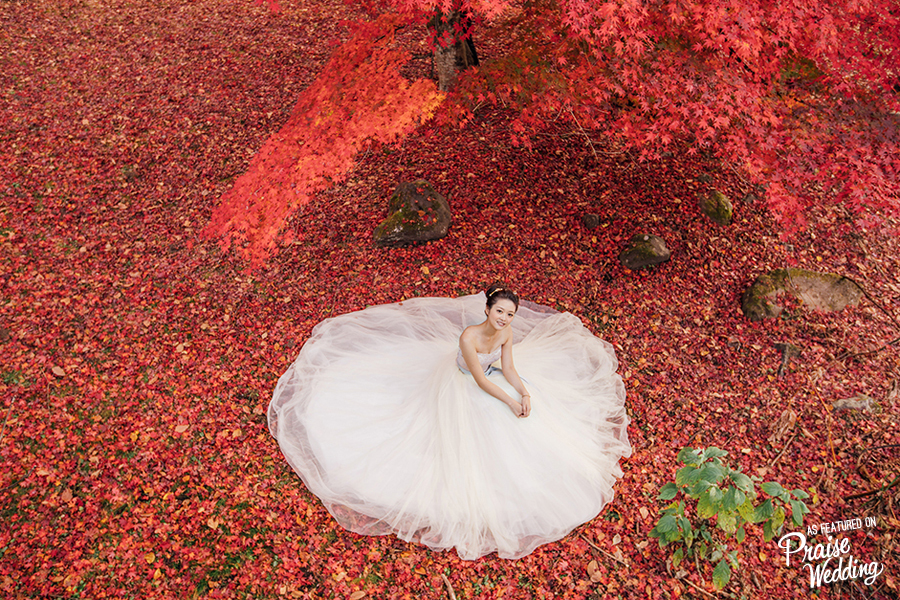 OMG! This bridal portrait surrounded by Karuizawa's maple leaves is absolutely stunning!