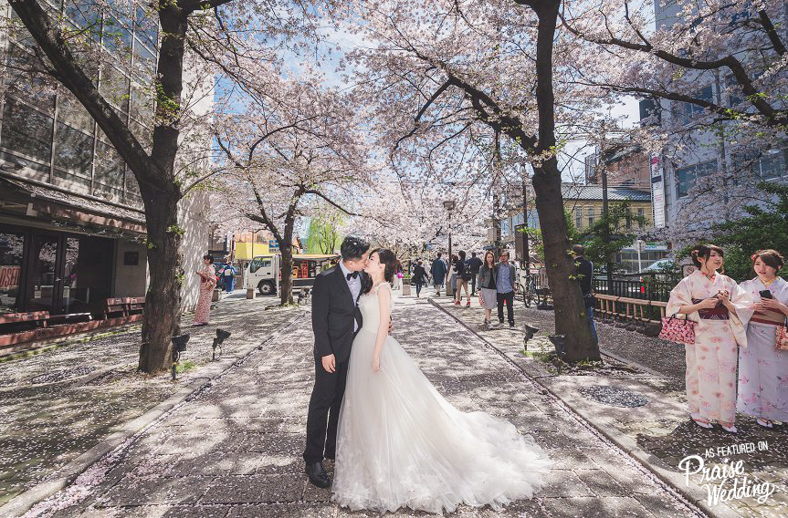 Romantic cherry blossom engagement in Japan