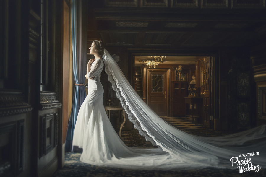 A timeless, classic, and elegant bridal portrait to dream of all day!