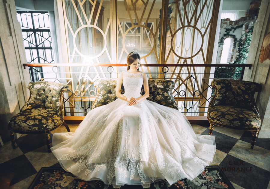 Princess-worthy bridal portrait featuring a stunning laced ball gown!