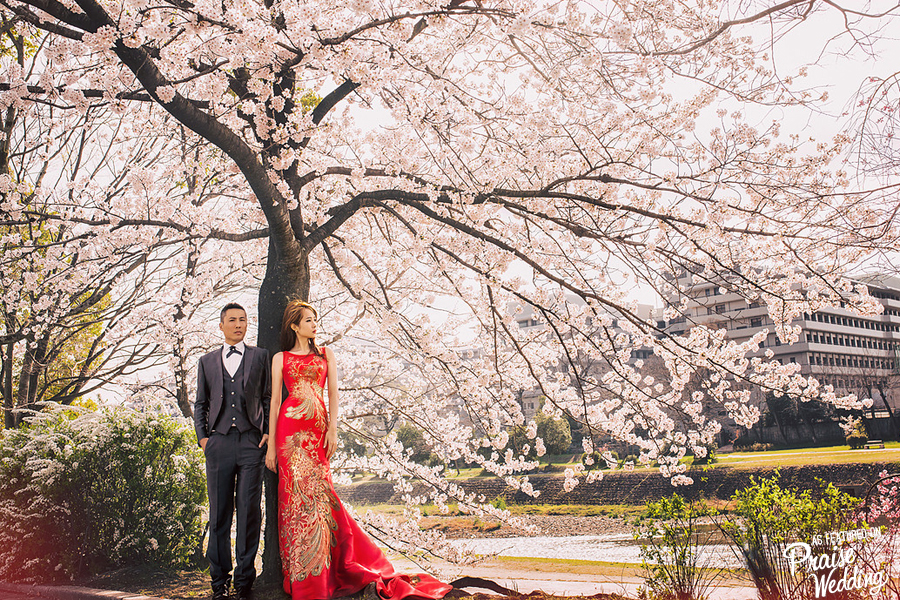 Blown away by this fashion-forward engagement session under a romantic cherry blossom tree!
