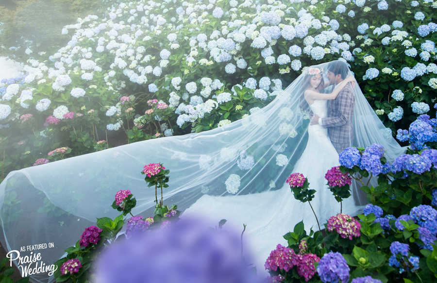 Utterly romantic hydragea garden prewedding photo to dream of all day!