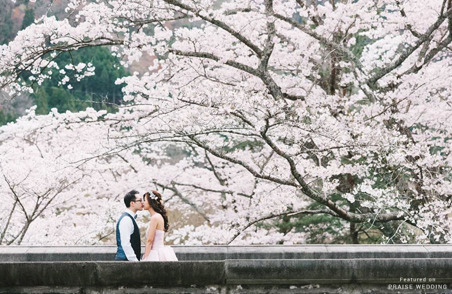 Nothing can really describe the magic of cherry blossoms, and this wedding photo is such a sweet and romantic treat!