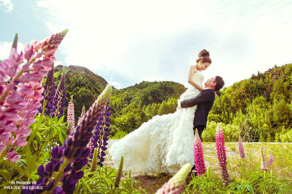 This new zealand wedding portrait filled with blooming lupins deserves to be a postcard!